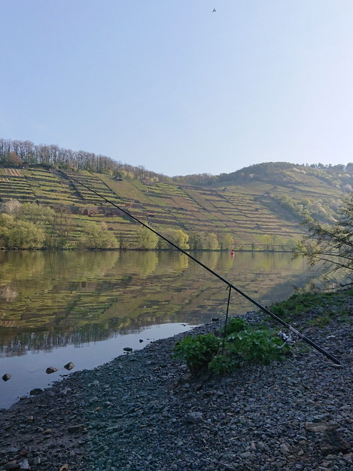 Angeln im Landkreis Main-Spessart