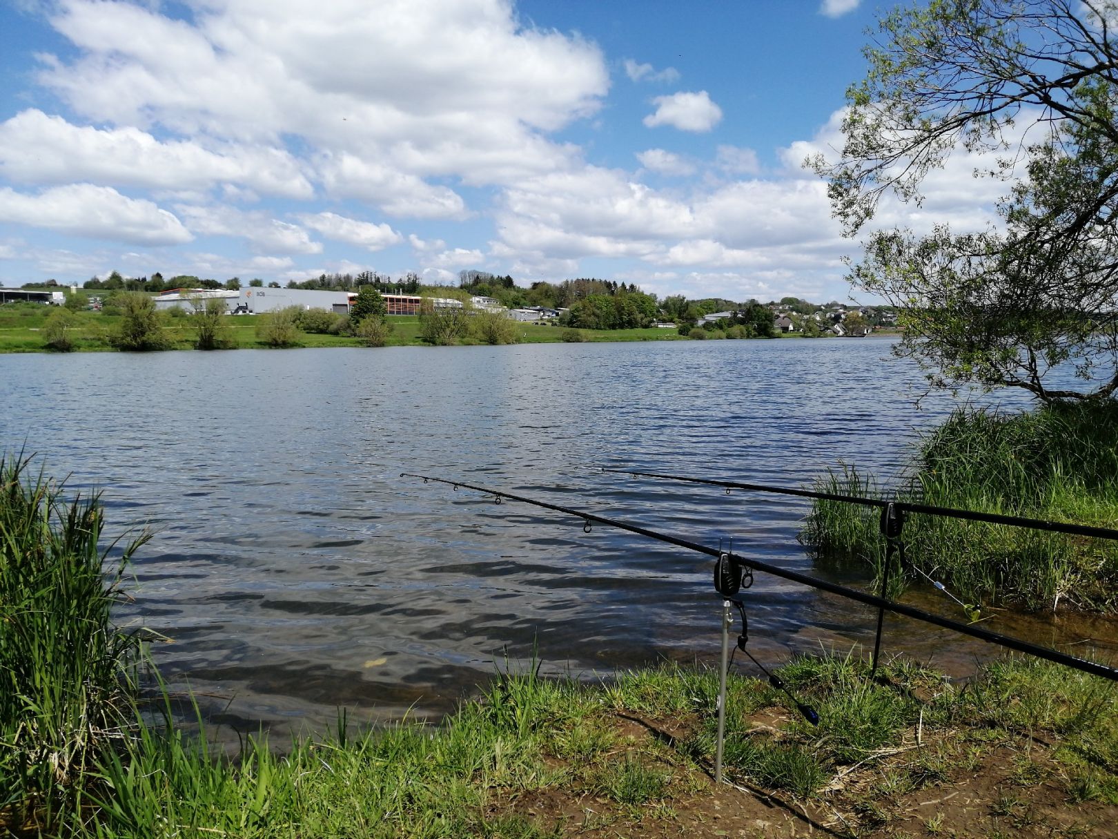 Angeln in Nister-Möhrendorf