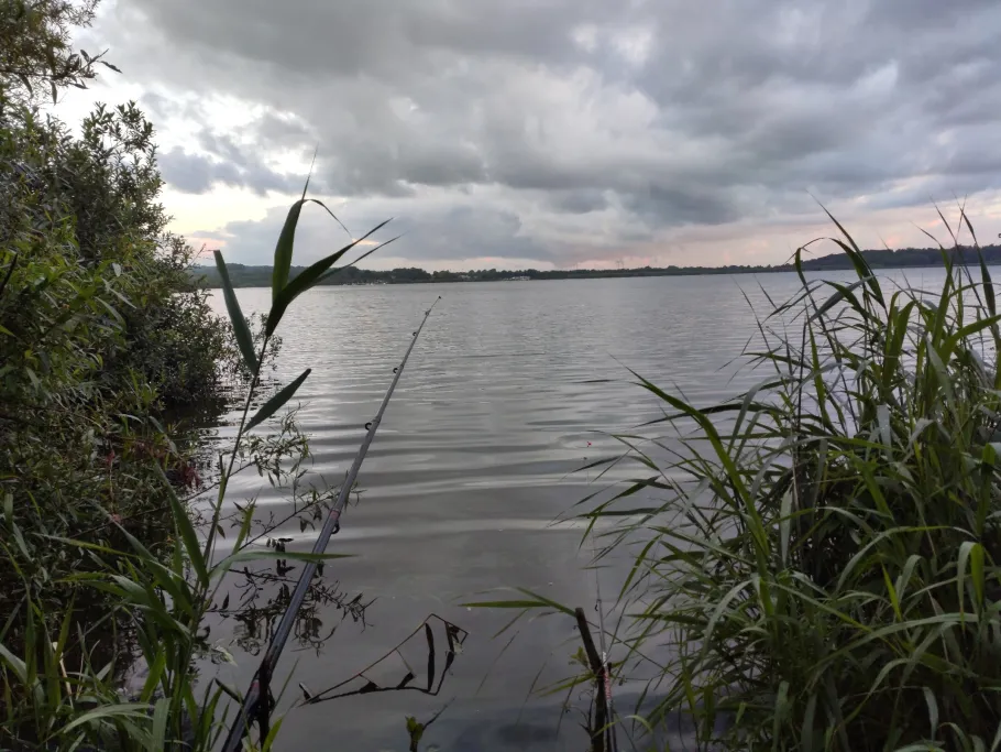 Bederkesaer See angeln