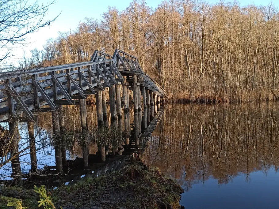 Drosedower Bek angeln