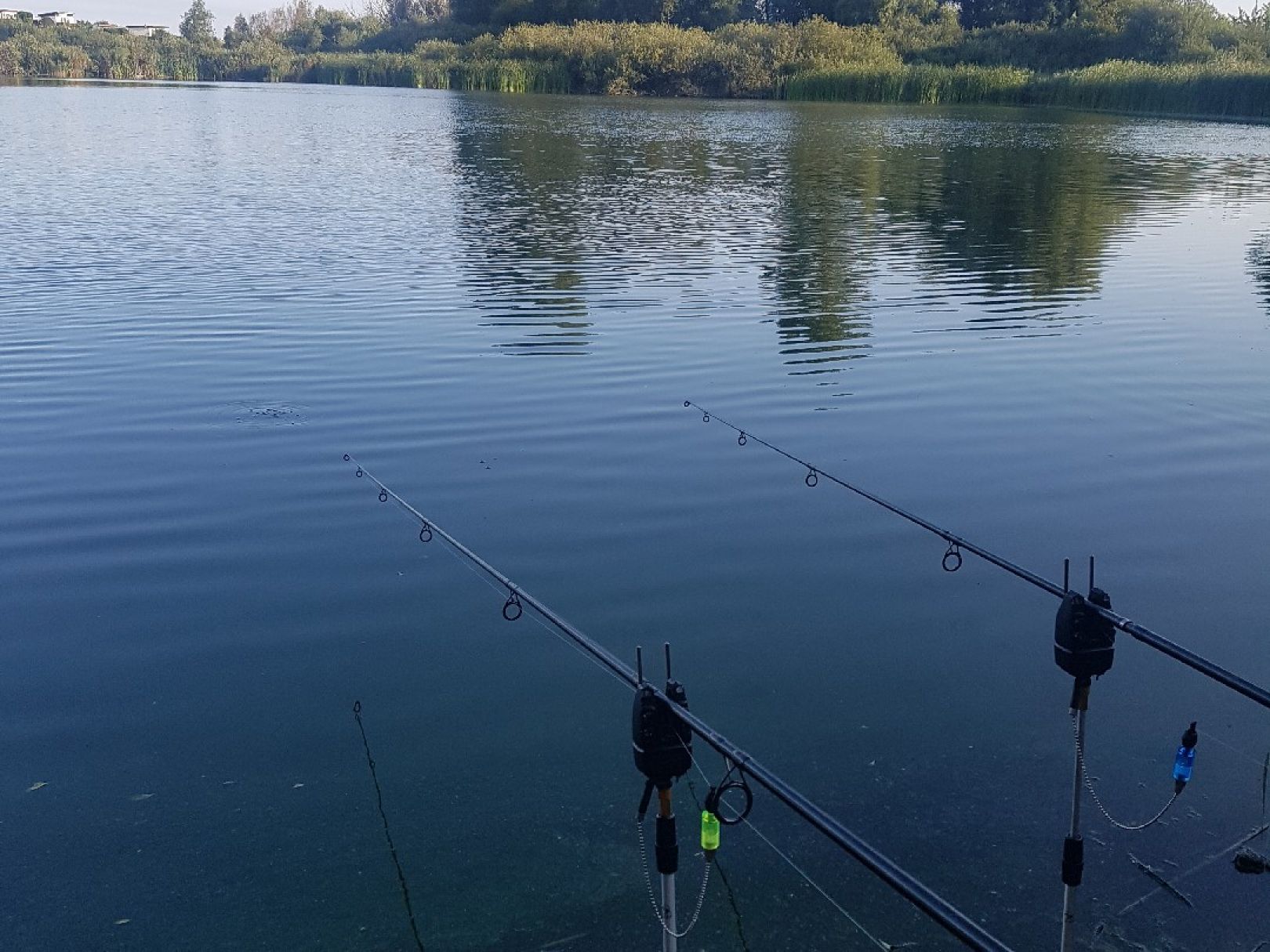 Koppelteich Hinterwendorf angeln