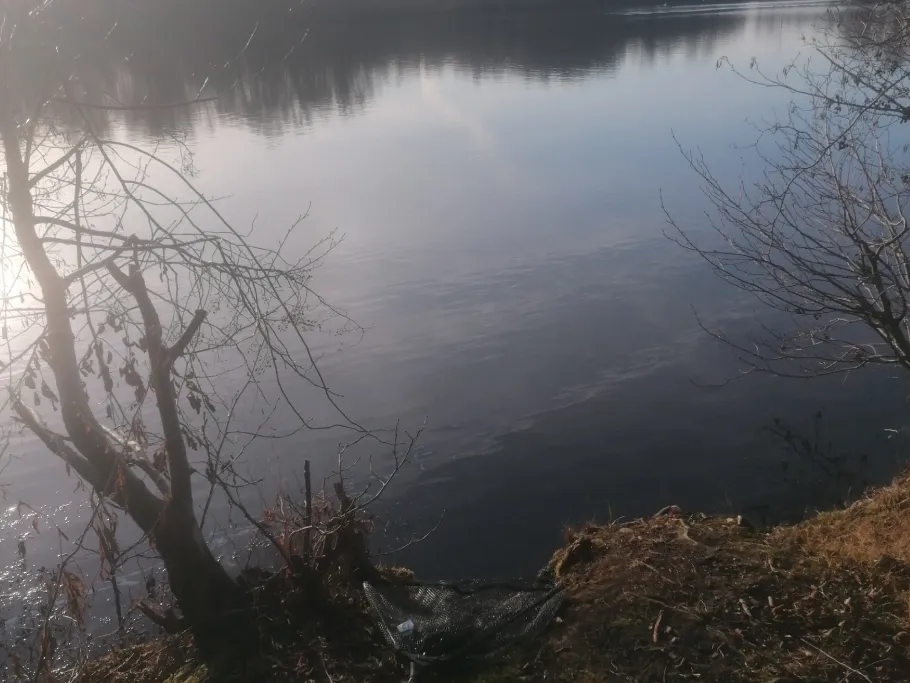 Barmener See angeln