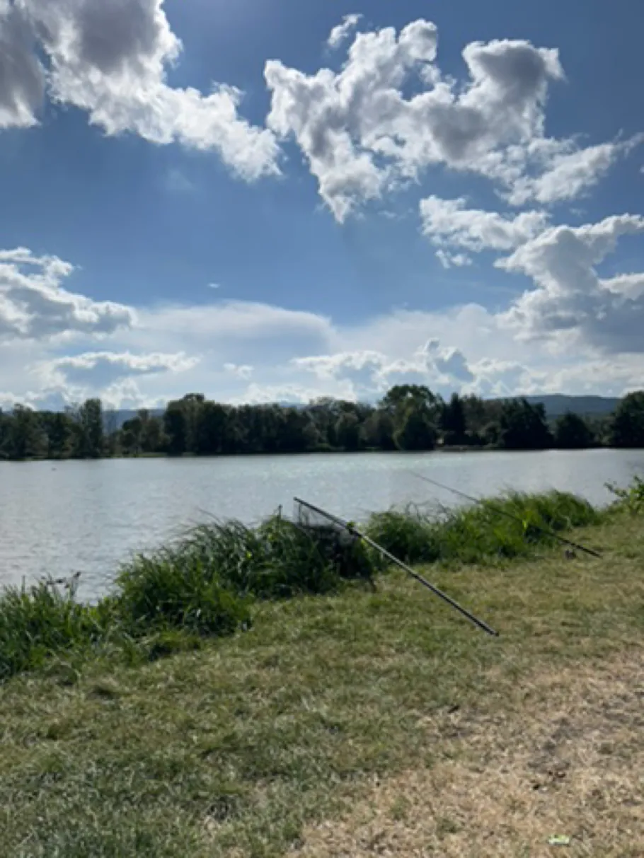 Teichwirtschaft Veckenstedt angeln