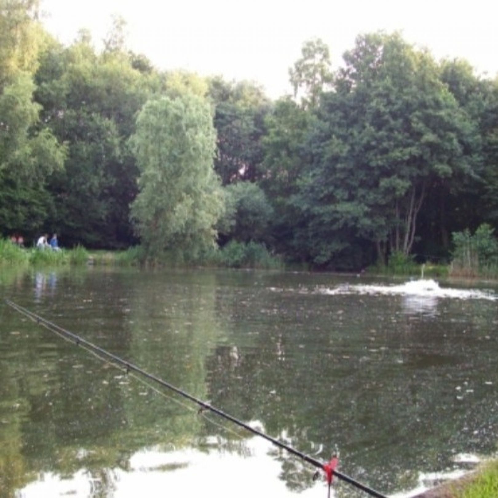 Angelhof Weseloh ALLE ANGELN