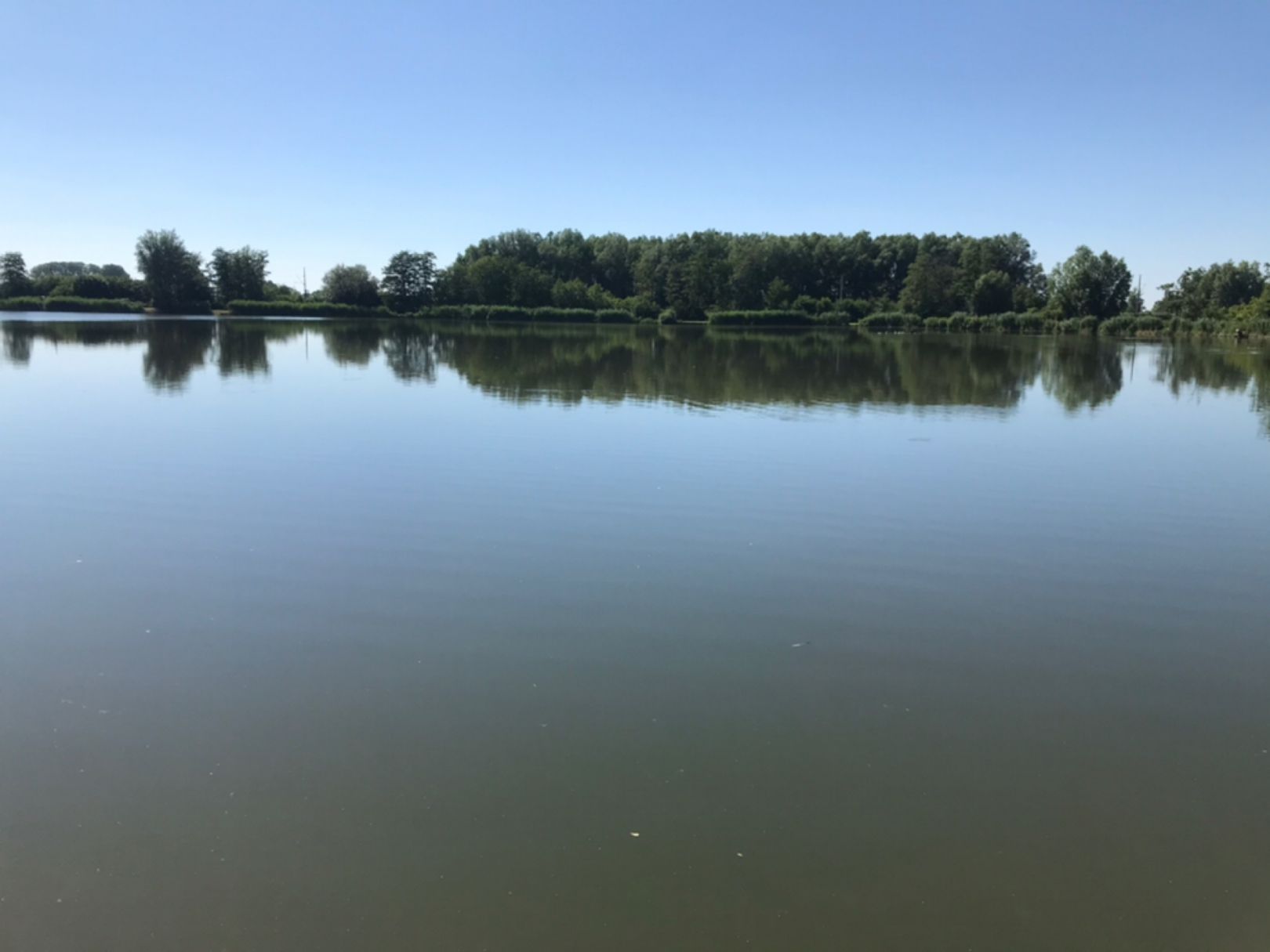 Inselsee (Nordenham) angeln