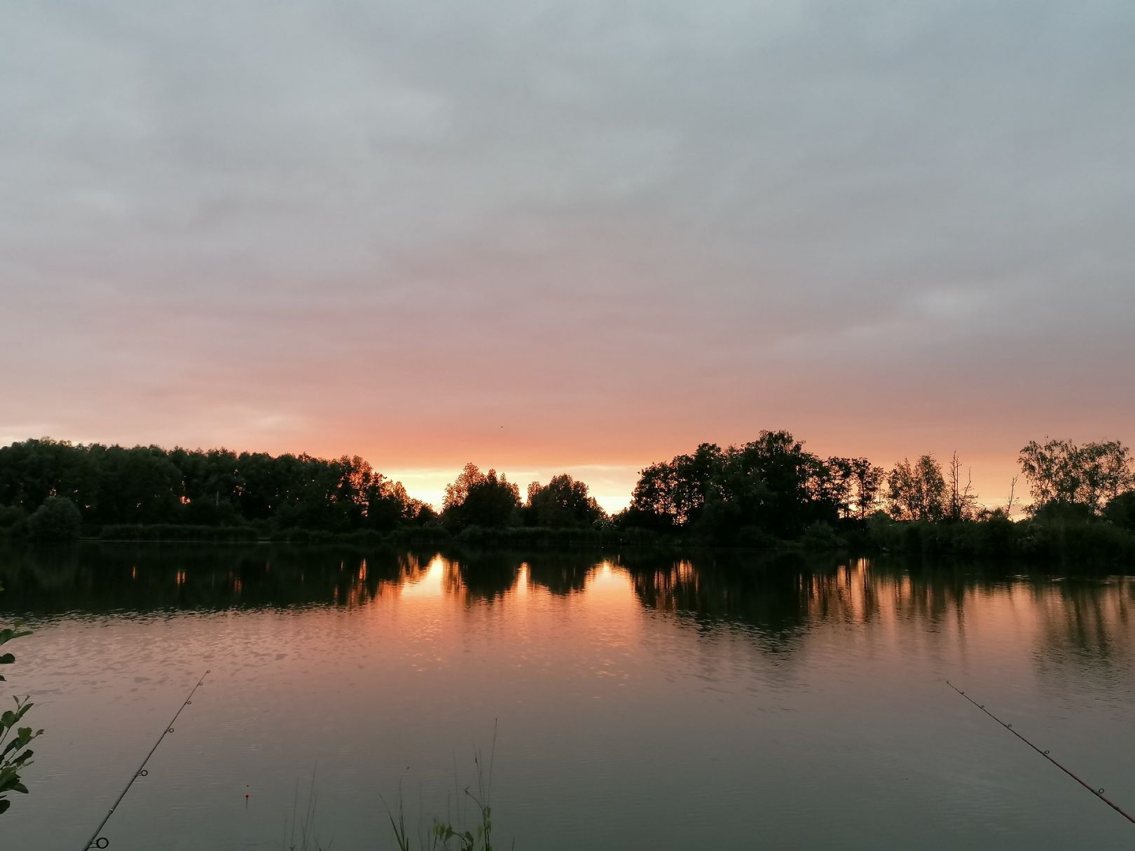 Inselsee (Nordenham) angeln