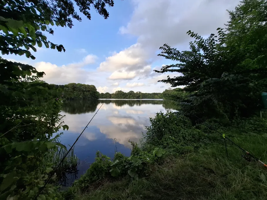 Mühlenteich (Glücksburg) angeln