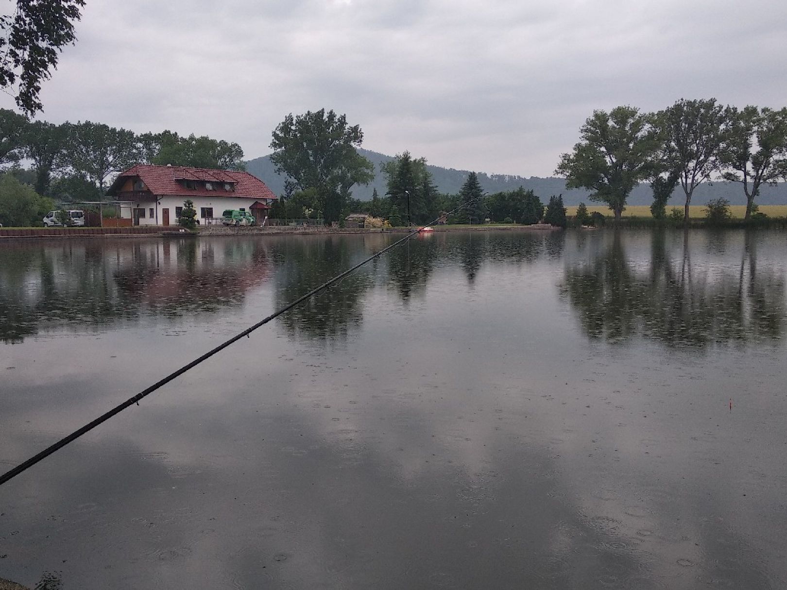 Hämbacher Karpfenteich angeln