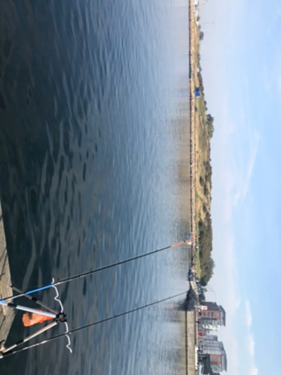 Ostsee (Malmö) angeln