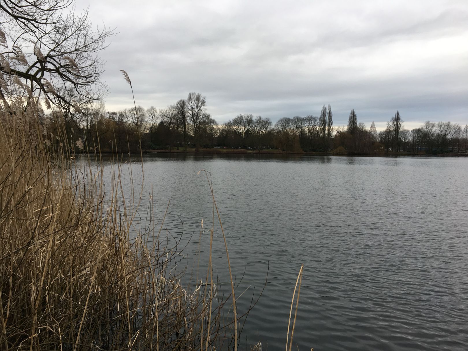 Nordparkteich (Gladbeck) angeln