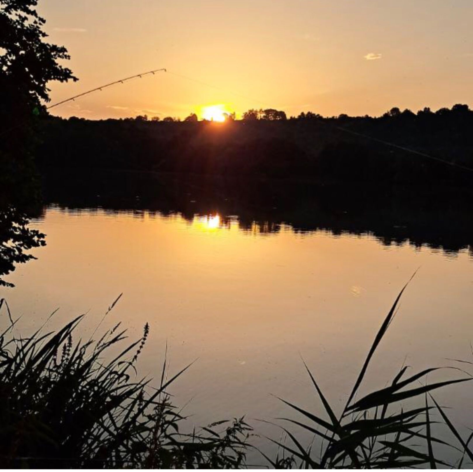 Tiefen-Loch-See (Neckarhausen) angeln