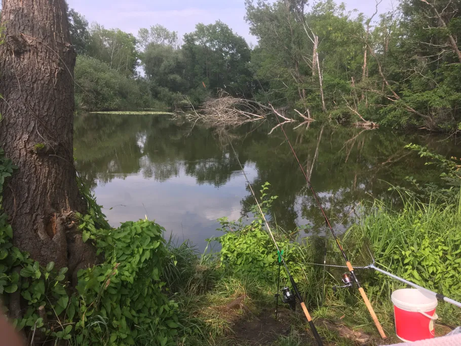 Gelber Stich (Ketzin) angeln