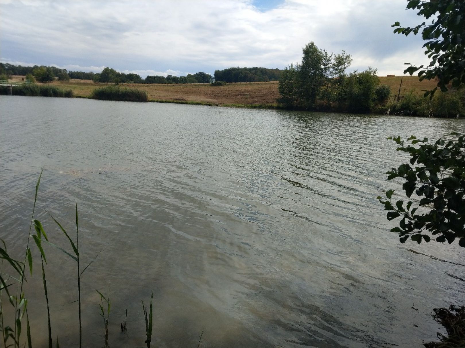 Talsperre Königsfeld angeln