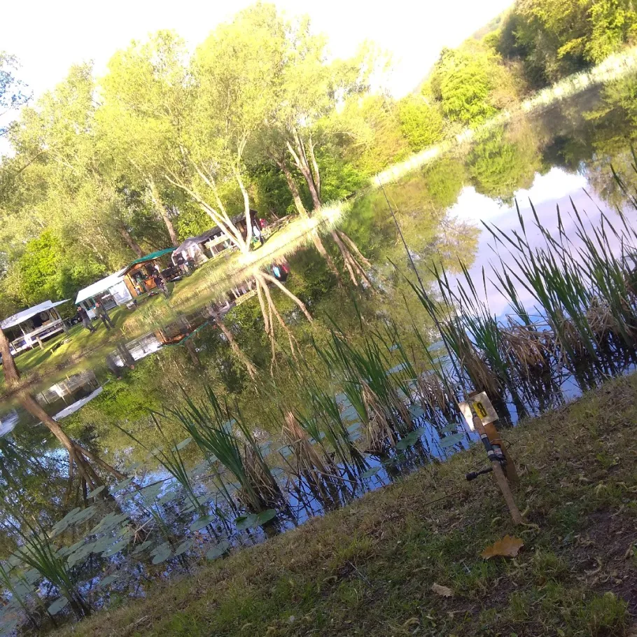 Froschteich (Hedemünden) angeln