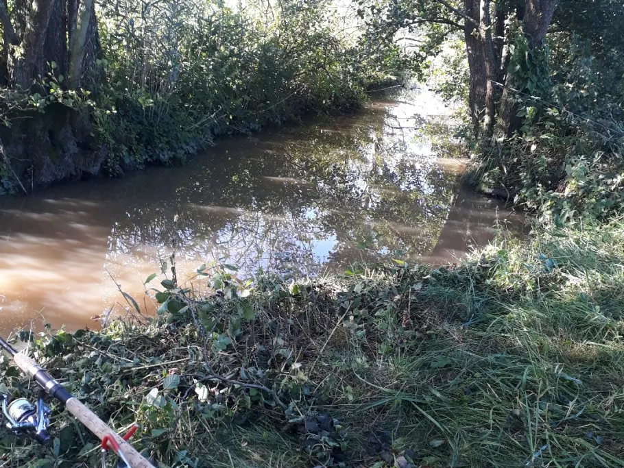 Altmühl (Colmberg) angeln