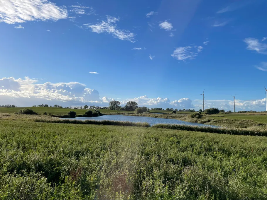 Biesenbruch (Wallmow) angeln