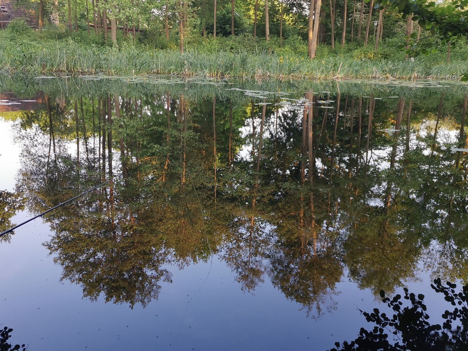 Rückhaltebecken Eichelhäherkamp angeln