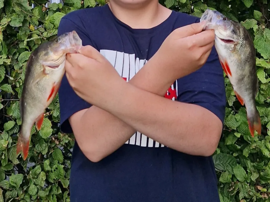 Landal Esonstad angeln