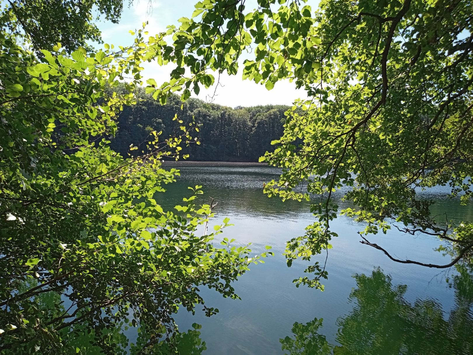 Bernshäuser Kutte ALLE ANGELN