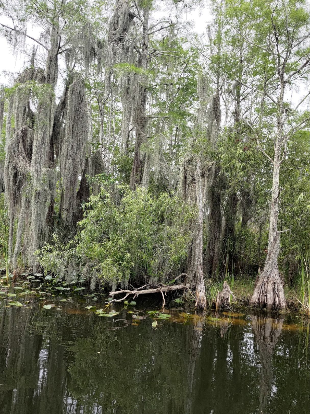 Tamiami River & Canal angeln