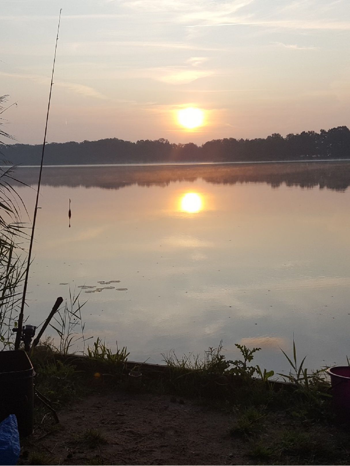 Angeln in Falkenberg/Elster