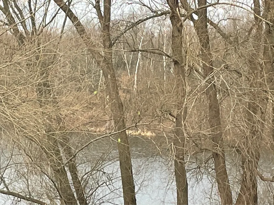 Dörpfeldsee (Hilden) angeln