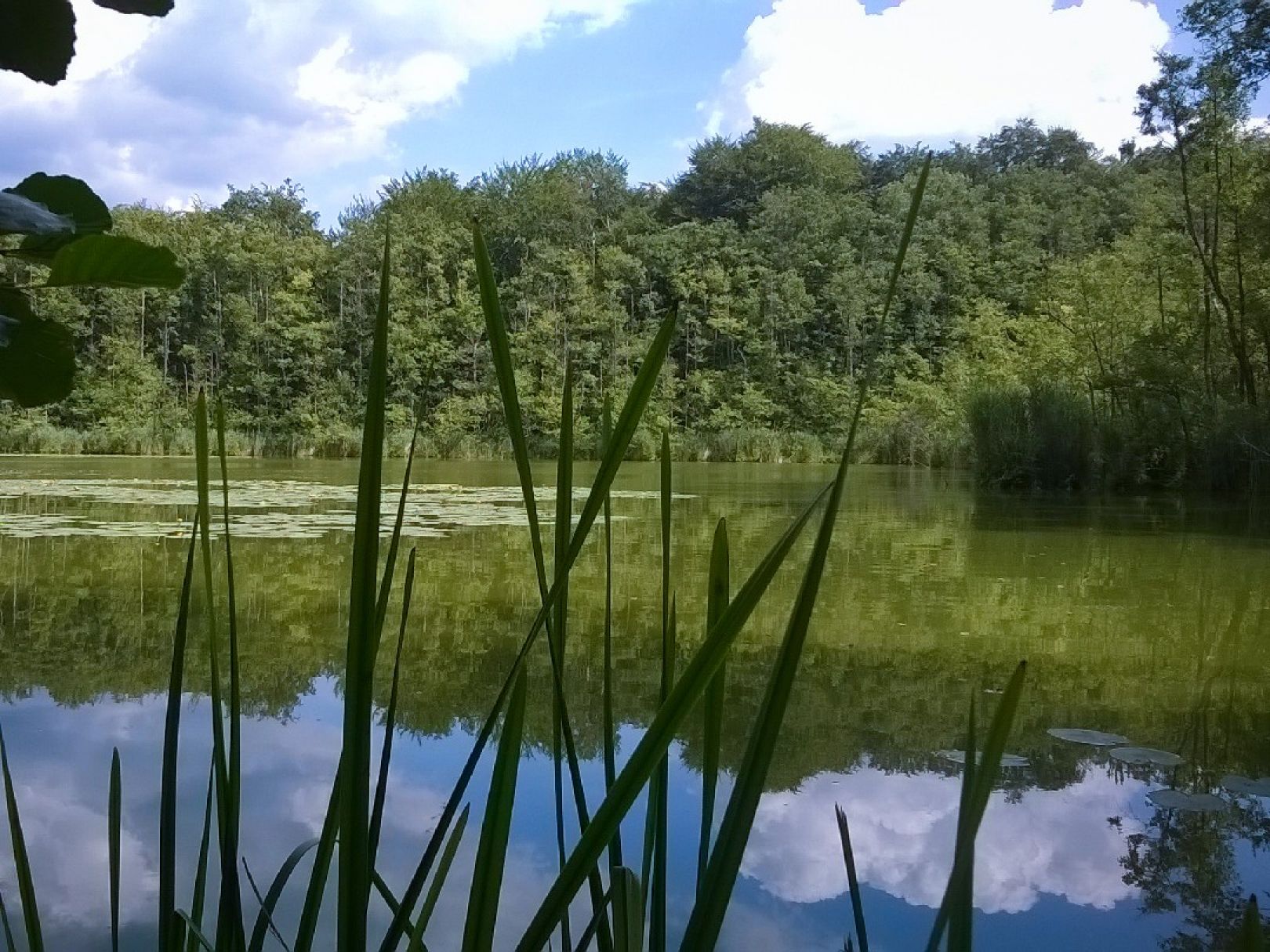 Mühlenbecker See angeln