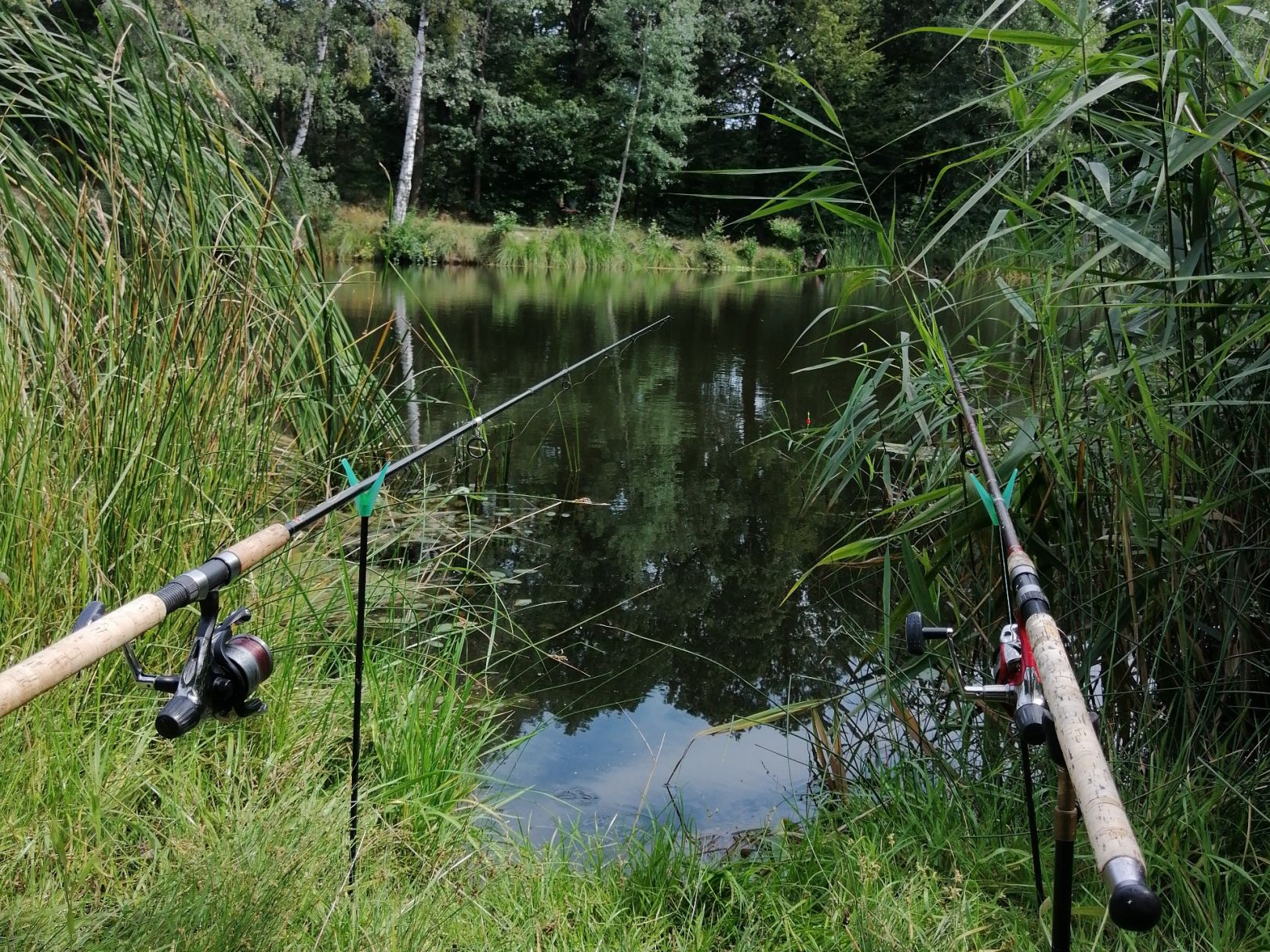 Tongrube an den Eichen (Leisenau) angeln