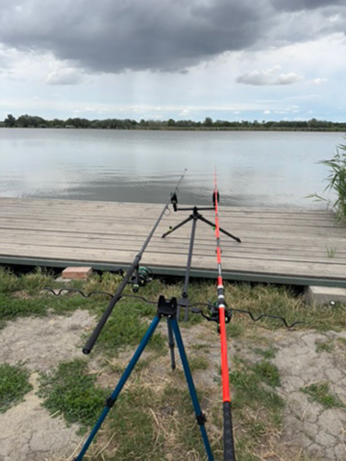 Crazy Carp Lake angeln