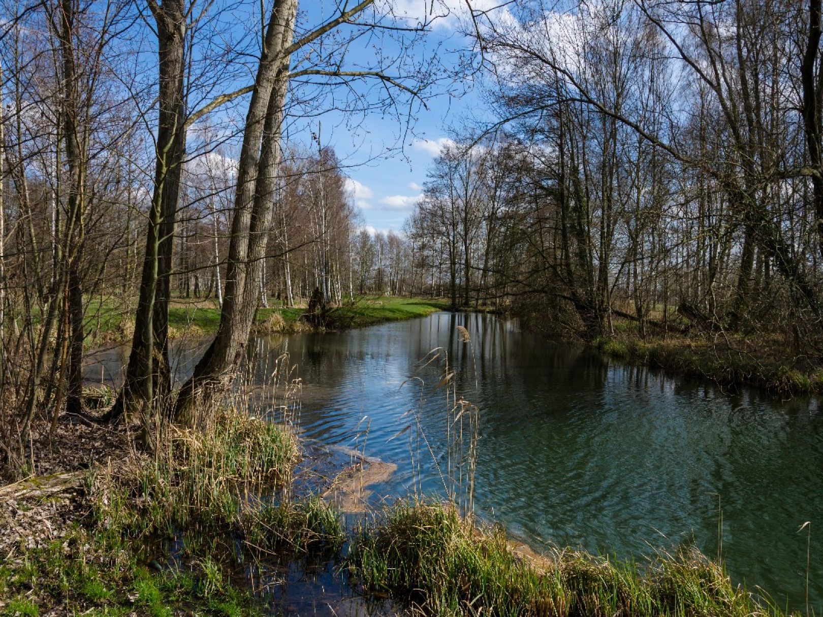 Spree (Burg/Spreewald) angeln