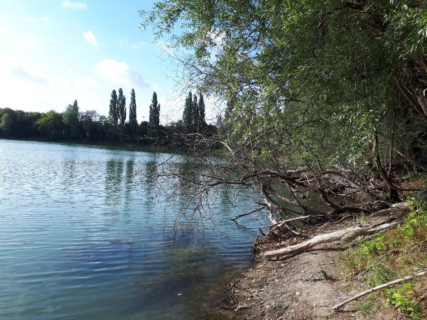 Diersfordter Waldsee angeln