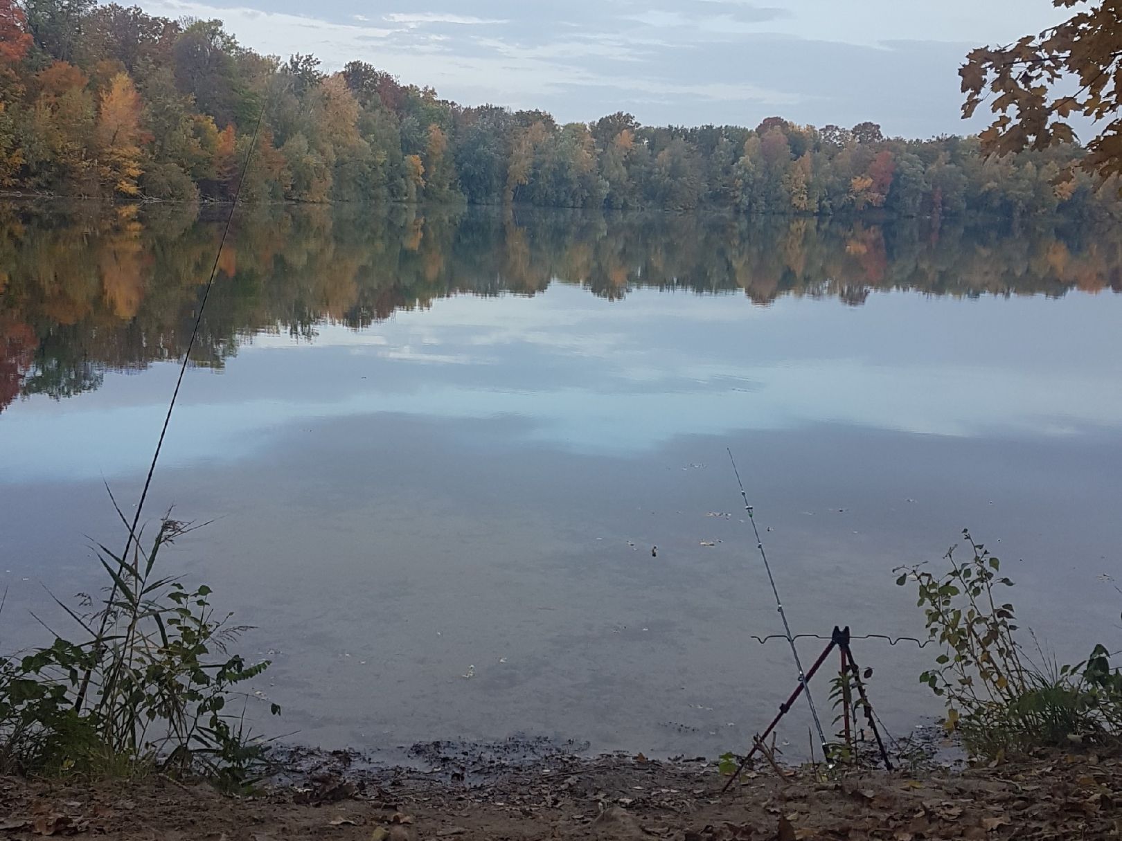 Baggersee Fuchs & Groß angeln