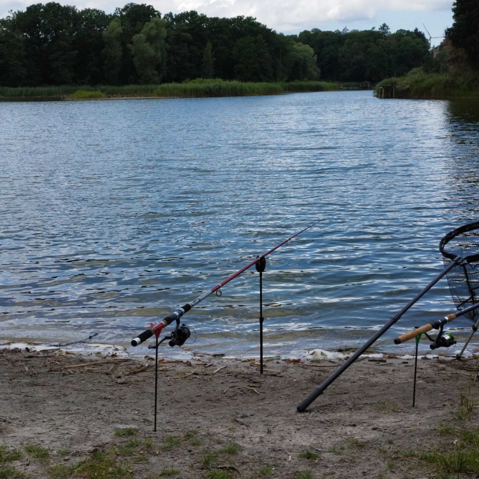Langer See (Reichenow) angeln