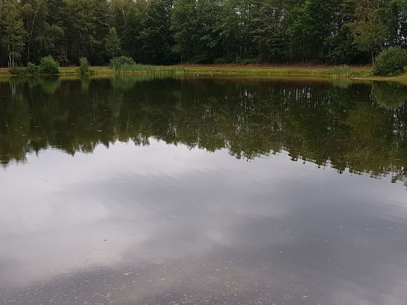 Larbergsee angeln