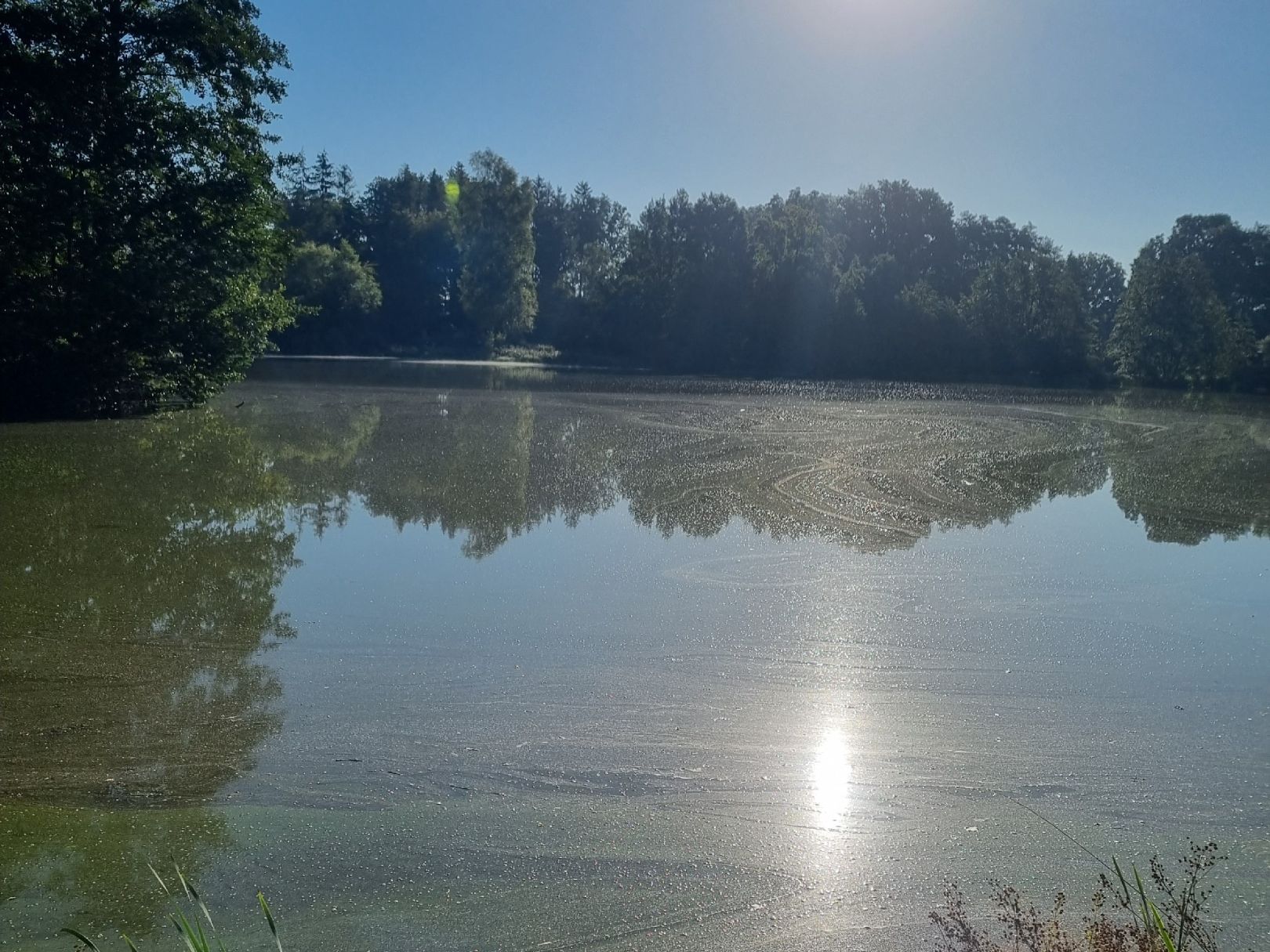 Heidesee (Müden) angeln