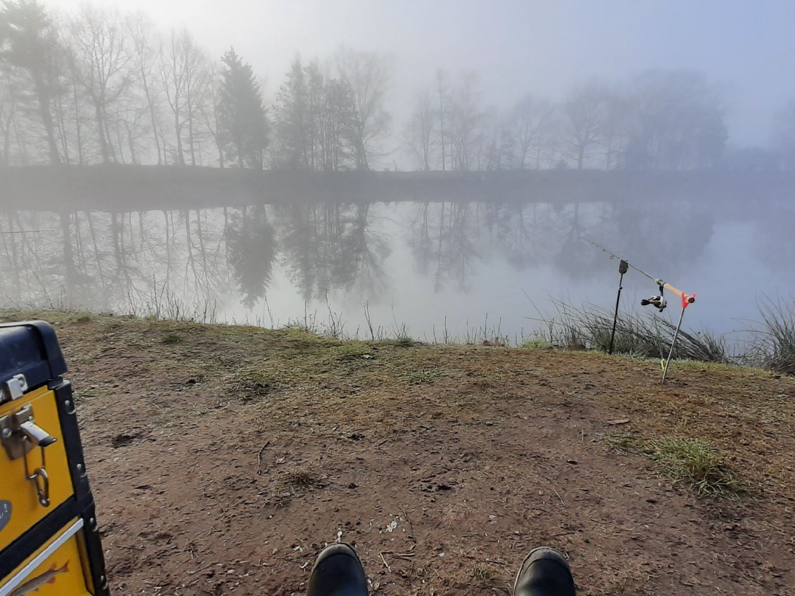 Waldsee Westerwiede (Bad Laer) angeln