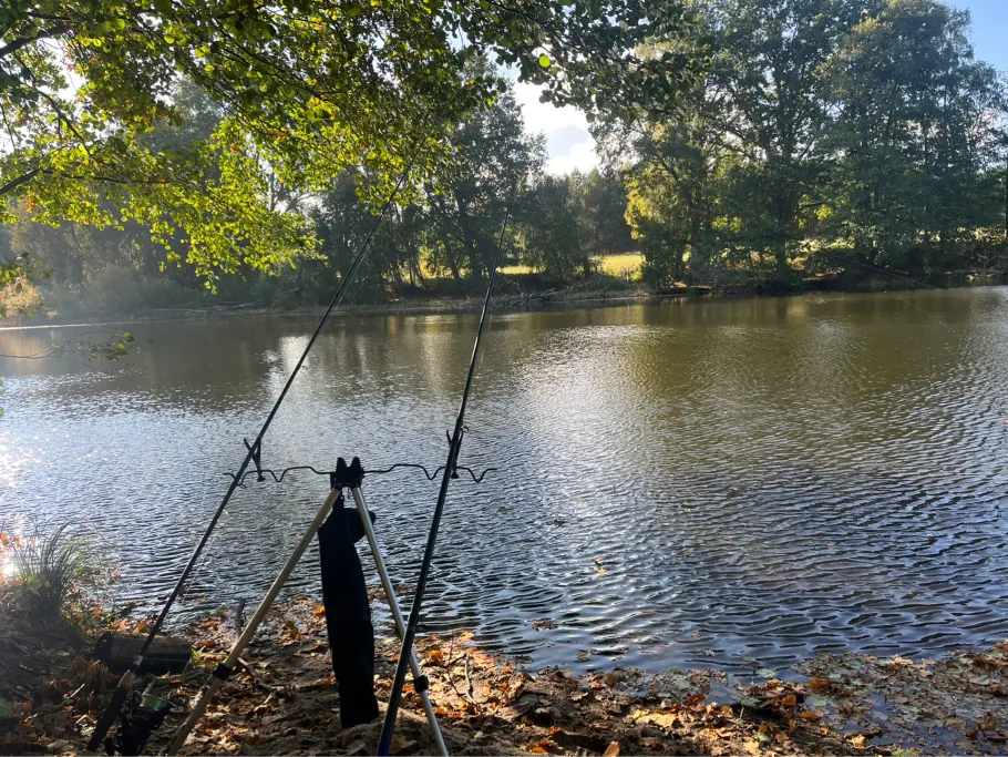 Langsee (Gneven) angeln