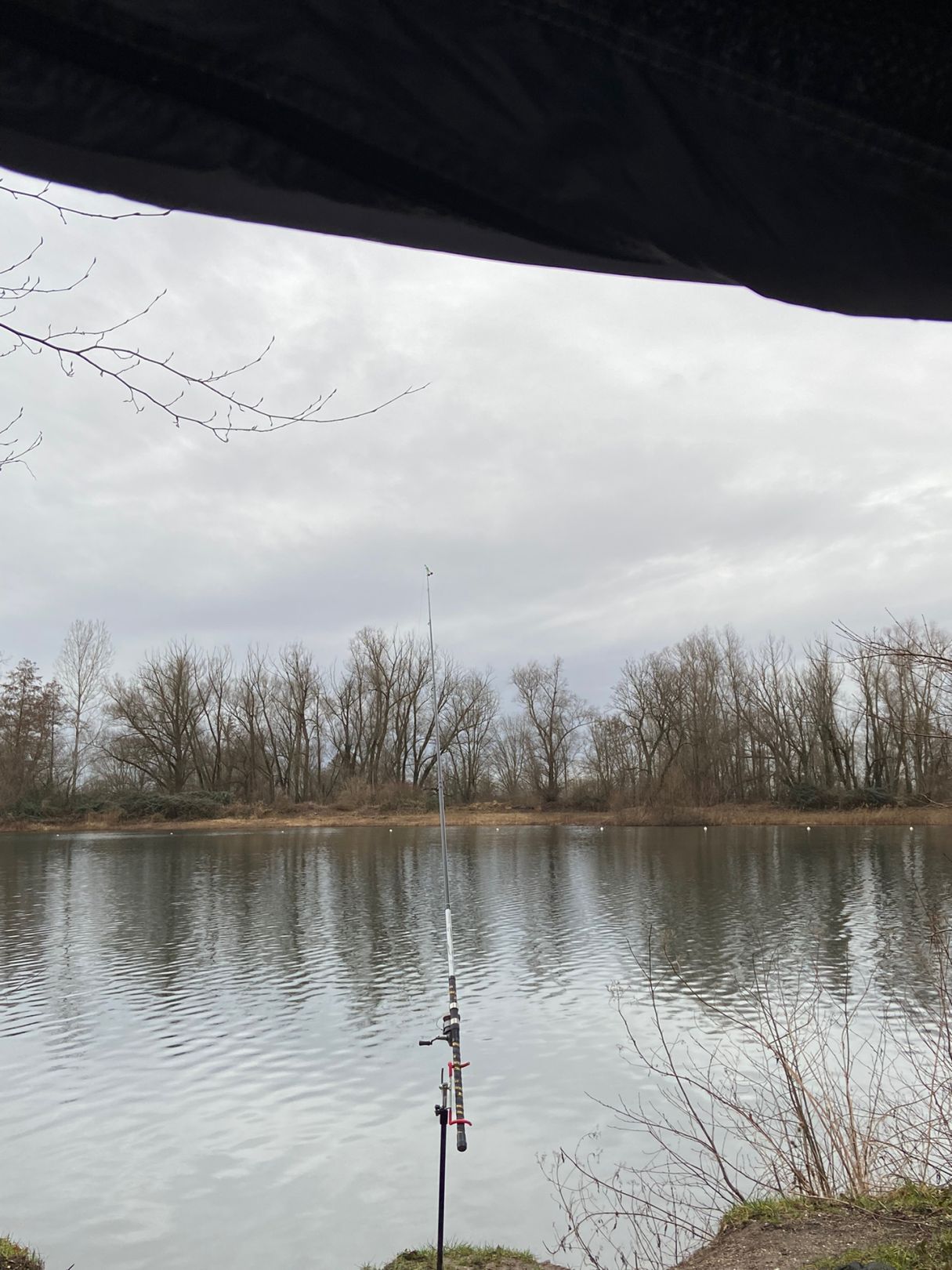 Baggersee Staffort angeln