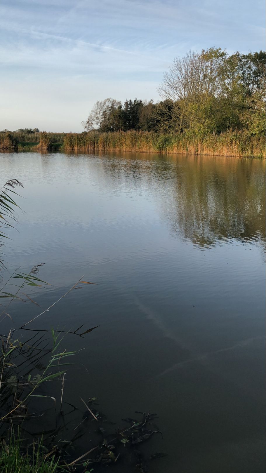 Angeln in Norderfriedrichskoog