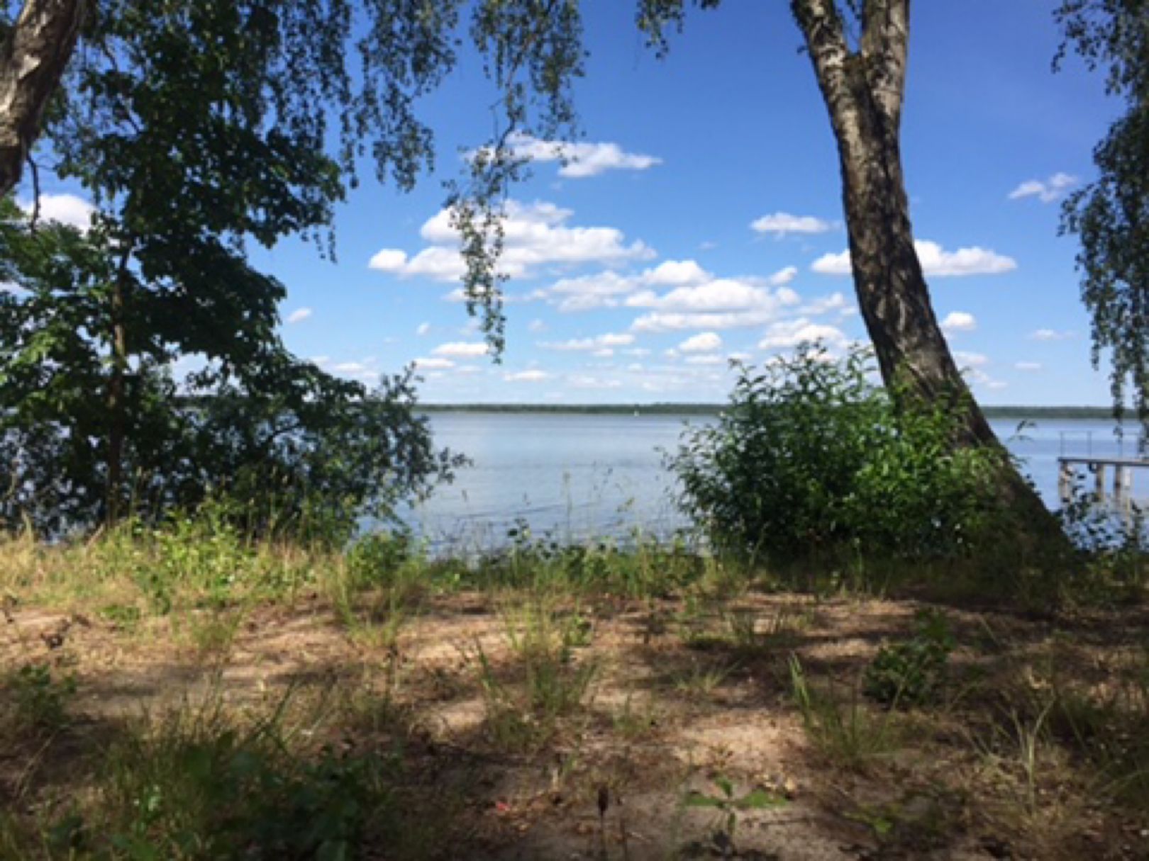 Arendsee angeln