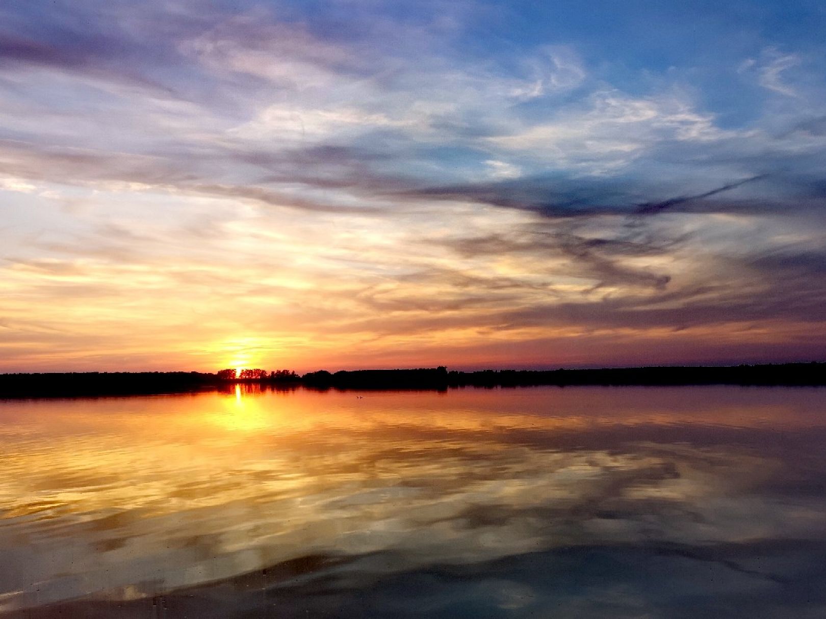 Arendsee angeln