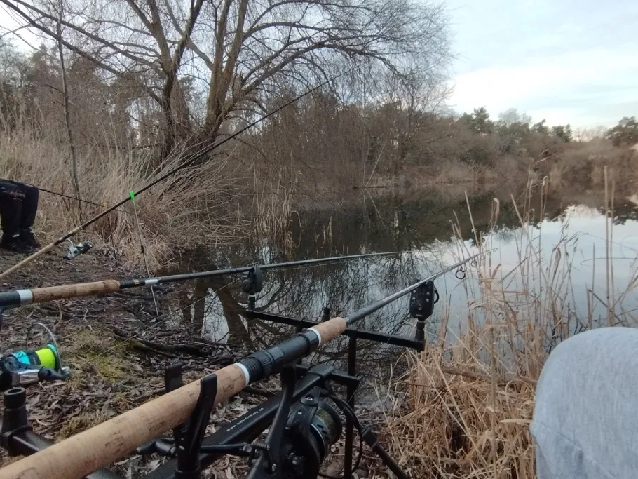 Reitschulschlagsee angeln