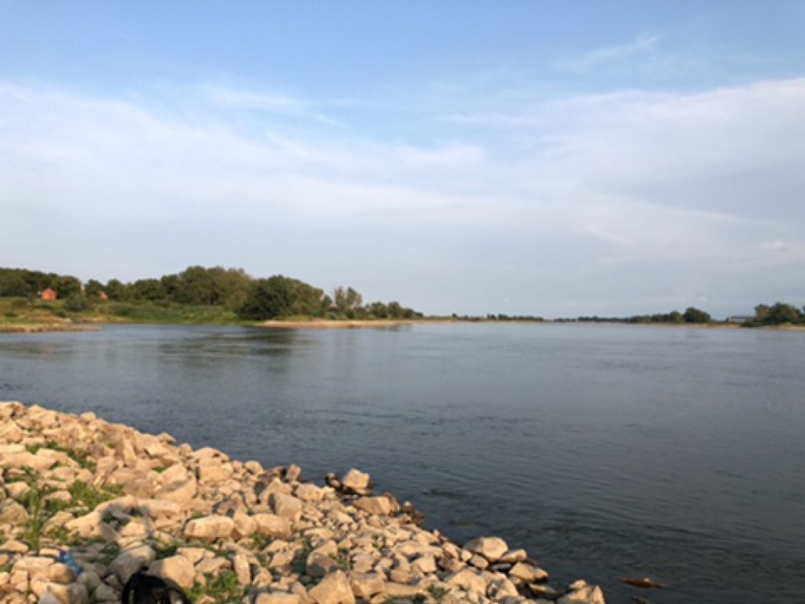 Elbe (Dömitz) angeln