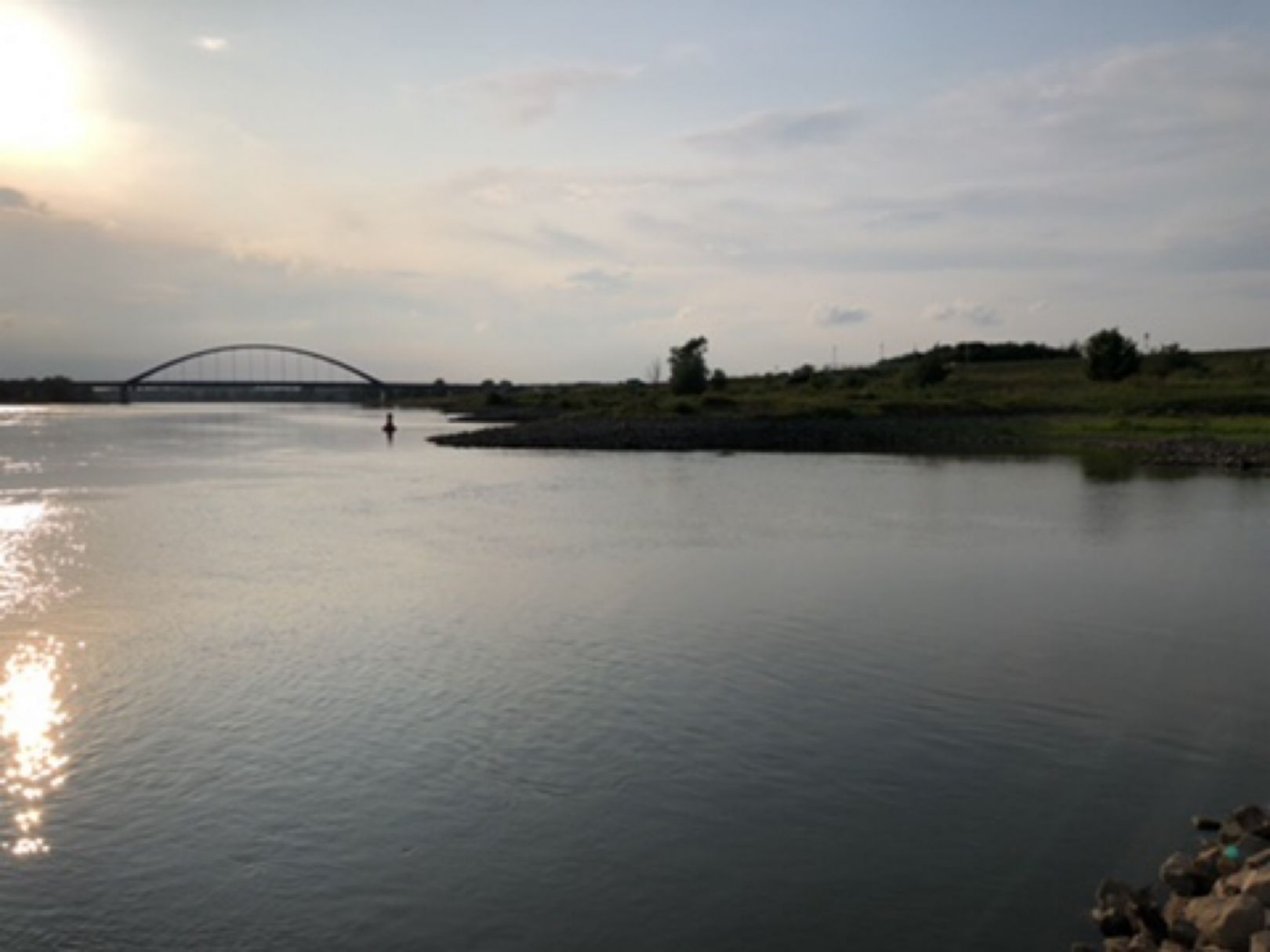 Elbe (Dömitz) angeln
