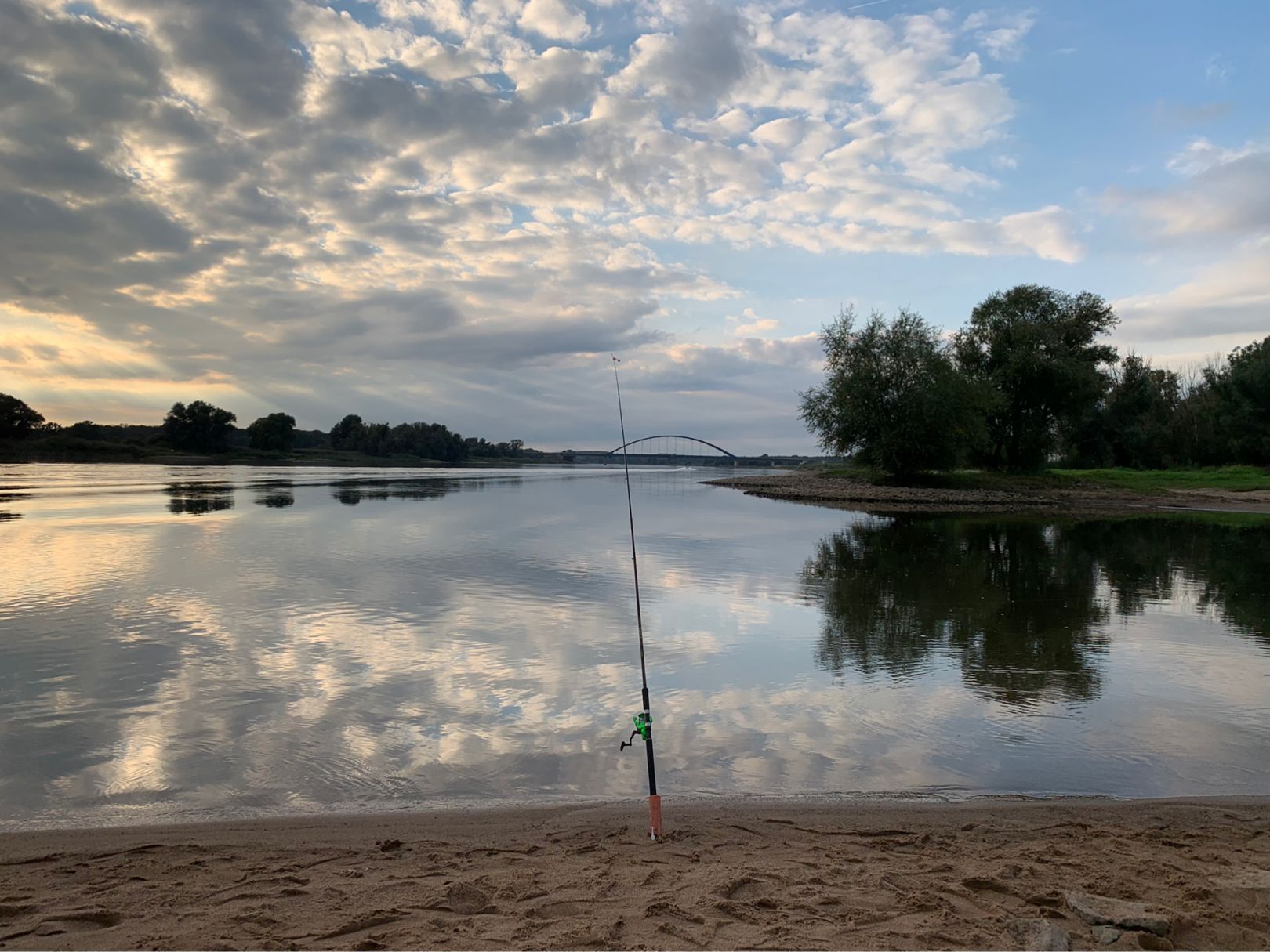 Elbe (Dömitz) angeln