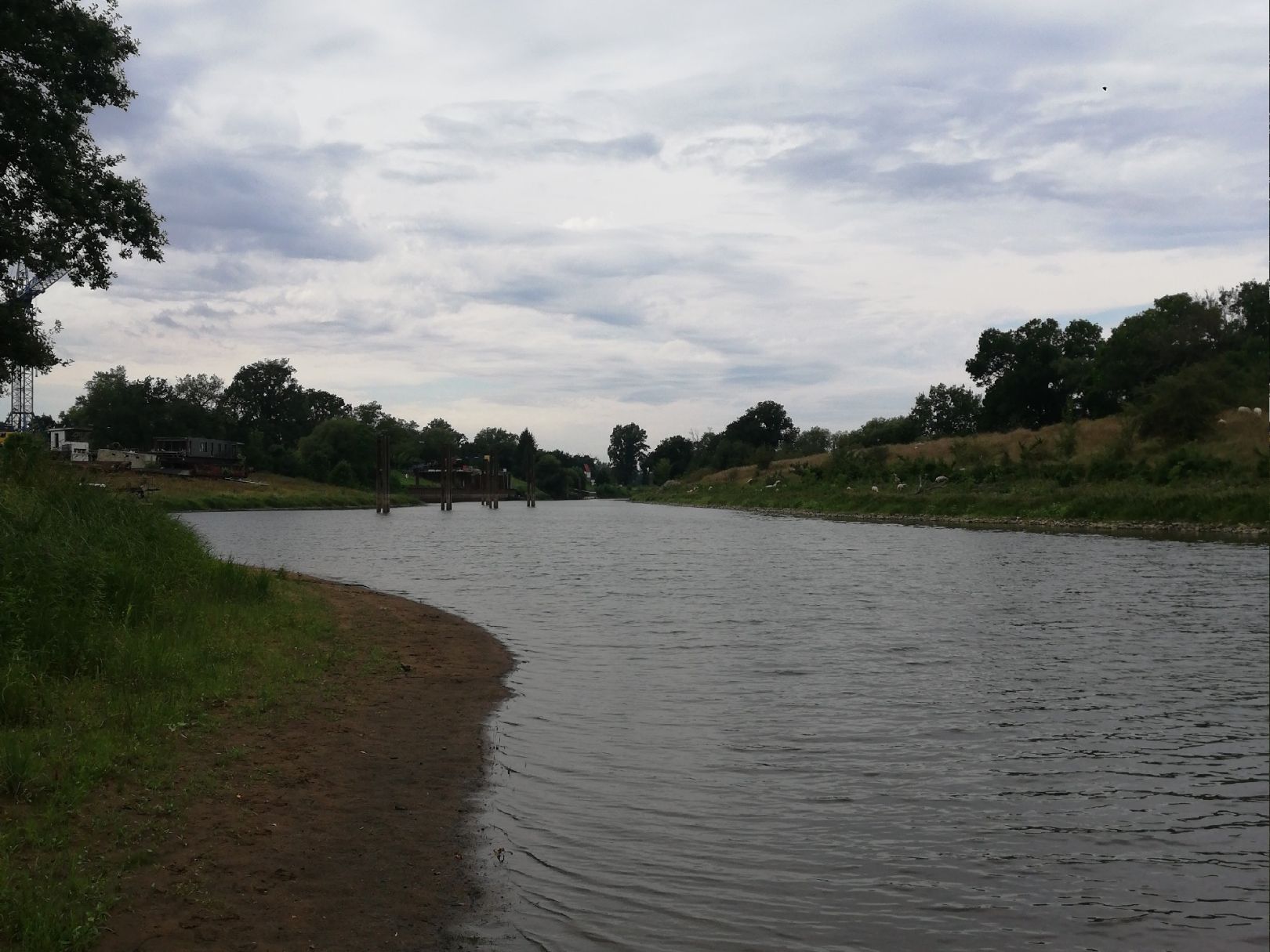 Hornhafen (Aken) angeln