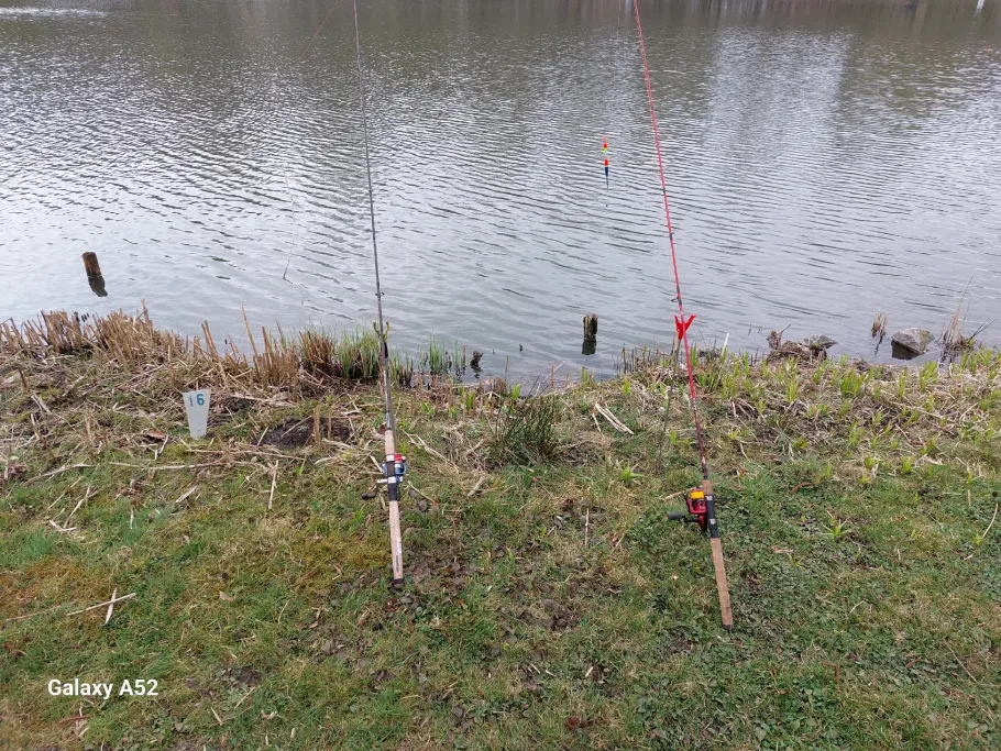 Maisenbachweiher angeln