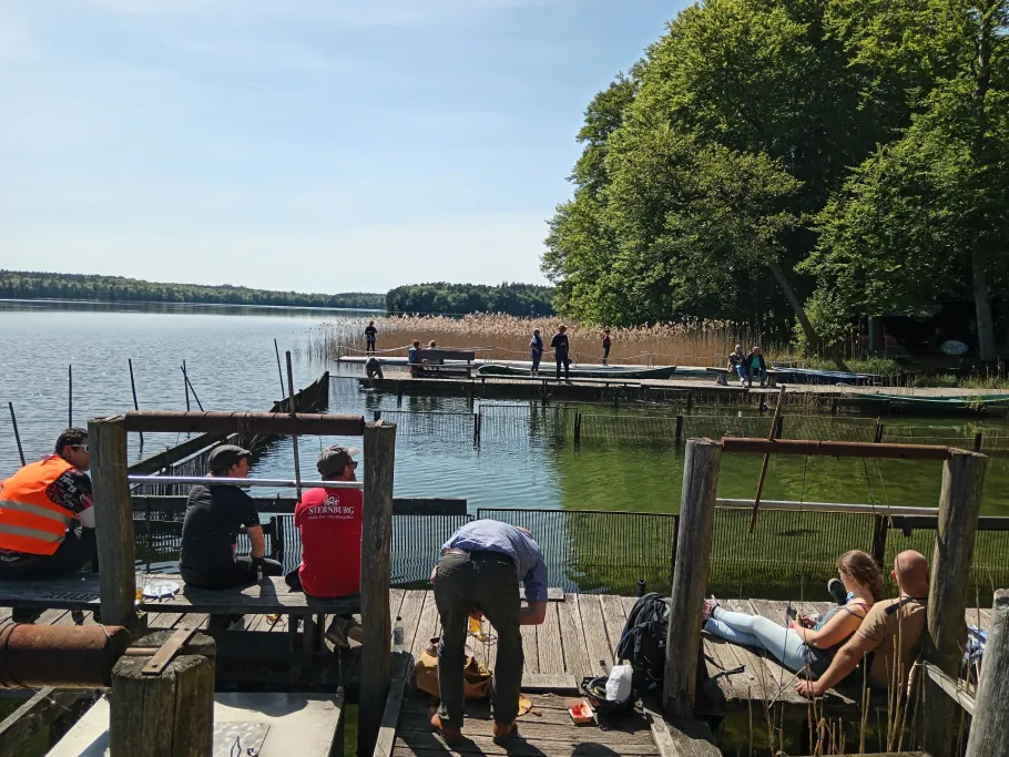 Großer Stechlinsee angeln