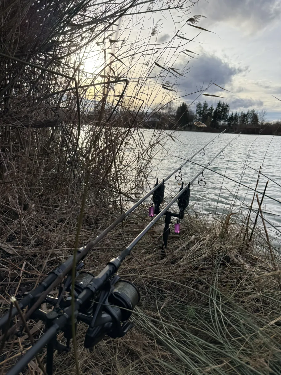 Risser See (Gundelfingen) angeln