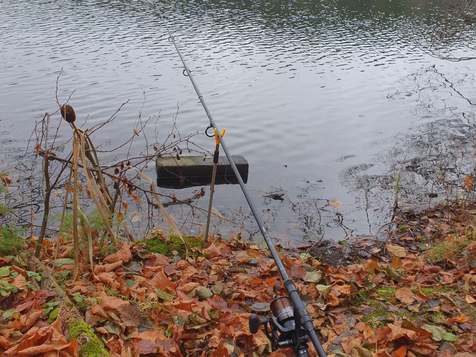 Lichtenberg Hauptsperre angeln